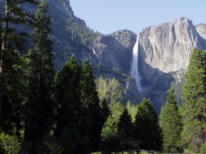 Enlarge photo 628