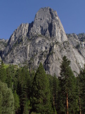 Enlarge photo 629