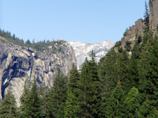 Enlarge photo 632