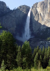 Enlarge photo 635
