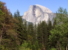Enlarge photo 638