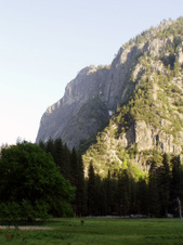 Enlarge photo 641
