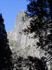 Enlarge photo 645