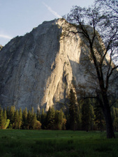 Enlarge photo 650