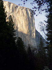 Enlarge photo 656