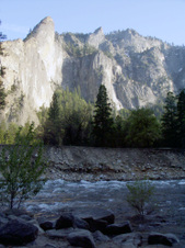 Enlarge photo 657