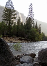 Enlarge photo 658