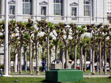 Enlarge photo 763