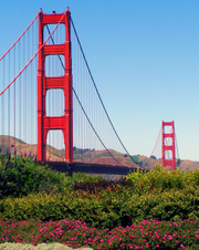 Enlarge photo 767