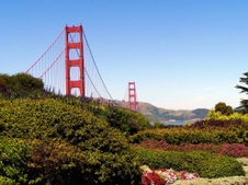 Enlarge photo 40