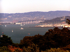 Enlarge photo 54