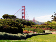 Enlarge photo 58