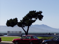 Enlarge photo 778