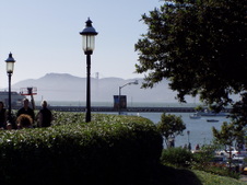 Enlarge photo 780