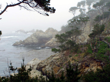Enlarge photo 332