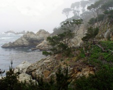 Enlarge photo 333