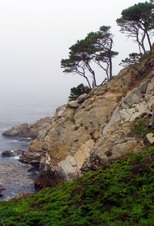 Enlarge photo 336