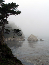 Enlarge photo 338
