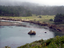 Enlarge photo 340