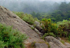 Enlarge photo 342