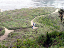 Enlarge photo 343