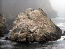 Enlarge photo 344