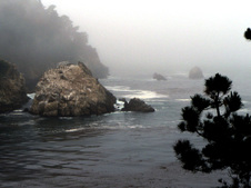 Enlarge photo 345