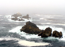 Enlarge photo 346