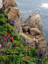 Enlarge photo 347