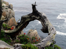 Enlarge photo 348