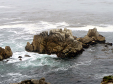 Enlarge photo 349