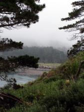 Enlarge photo 351