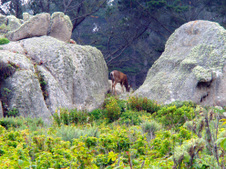 Enlarge photo 352