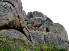 Enlarge photo 353