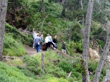 Enlarge photo 354