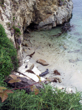 Enlarge photo 357