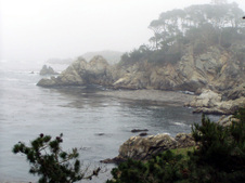 Enlarge photo 362