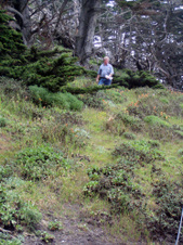 Enlarge photo 363
