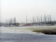 Enlarge photo 330