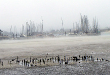 Enlarge photo 331