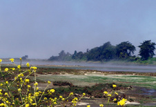 Enlarge photo 328