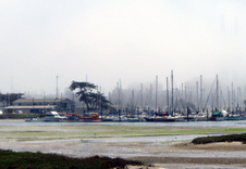 Enlarge photo 329