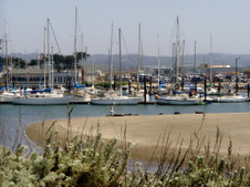 Enlarge photo 327