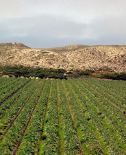 Enlarge photo 326