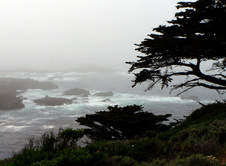 Enlarge photo 369