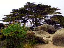 Enlarge photo 370