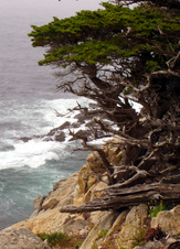 Enlarge photo 372
