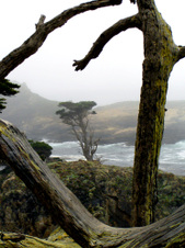 Enlarge photo 373