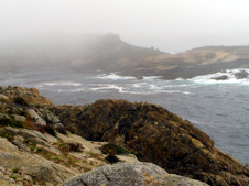 Enlarge photo 374