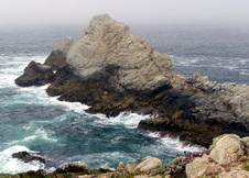 Enlarge photo 377